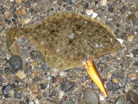 浮気‼南大阪へ‼…